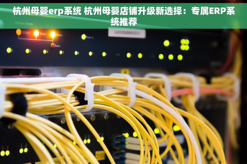 杭州母婴erp系统 杭州母婴店铺升级新选择：专属ERP系统推荐