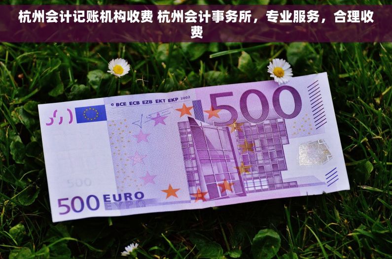 杭州会计记账机构收费 杭州会计事务所，专业服务，合理收费