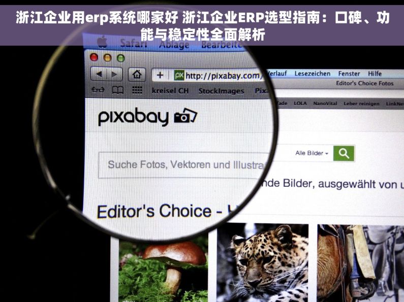 浙江企业用erp系统哪家好 浙江企业ERP选型指南：口碑、功能与稳定性全面解析
