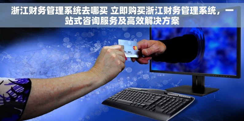 浙江财务管理系统去哪买 立即购买浙江财务管理系统，一站式咨询服务及高效解决方案
