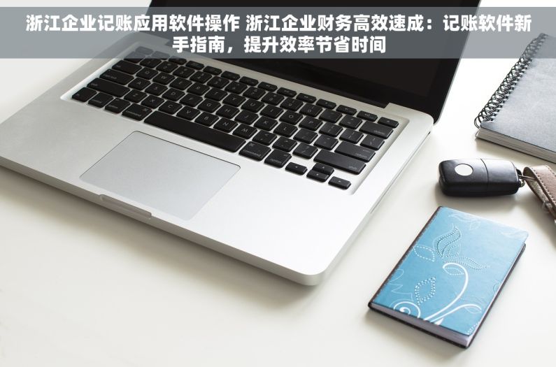 浙江企业记账应用软件操作 浙江企业财务高效速成：记账软件新手指南，提升效率节省时间