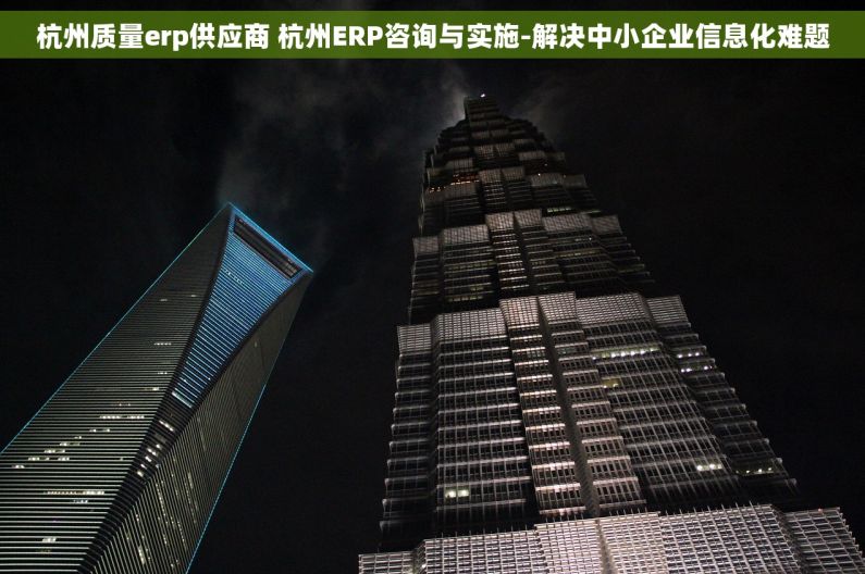 杭州质量erp供应商 杭州ERP咨询与实施-解决中小企业信息化难题