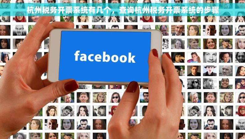 杭州税务开票系统有几个，查询杭州税务开票系统的步骤