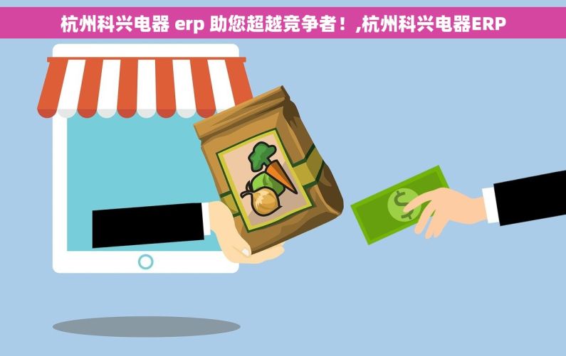 杭州科兴电器 erp 助您超越竞争者！,杭州科兴电器ERP