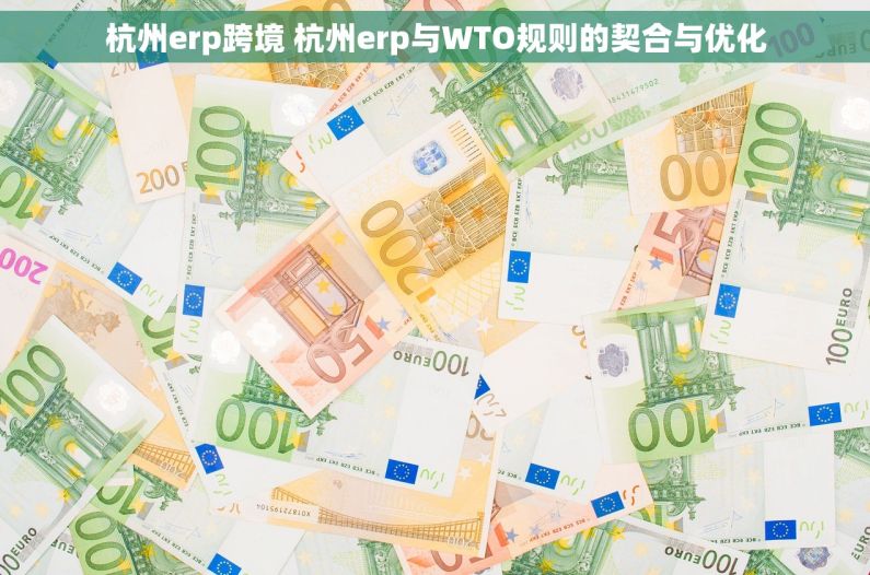 杭州erp跨境 杭州erp与WTO规则的契合与优化