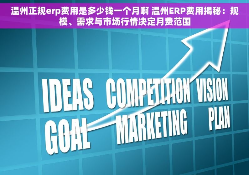 温州正规erp费用是多少钱一个月啊 温州ERP费用揭秘：规模、需求与市场行情决定月费范围