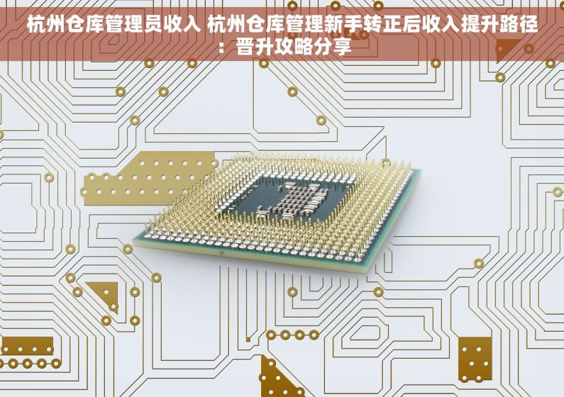 杭州仓库管理员收入 杭州仓库管理新手转正后收入提升路径：晋升攻略分享