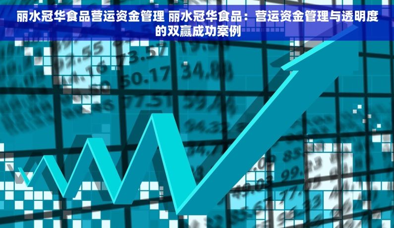 丽水冠华食品营运资金管理 丽水冠华食品：营运资金管理与透明度的双赢成功案例