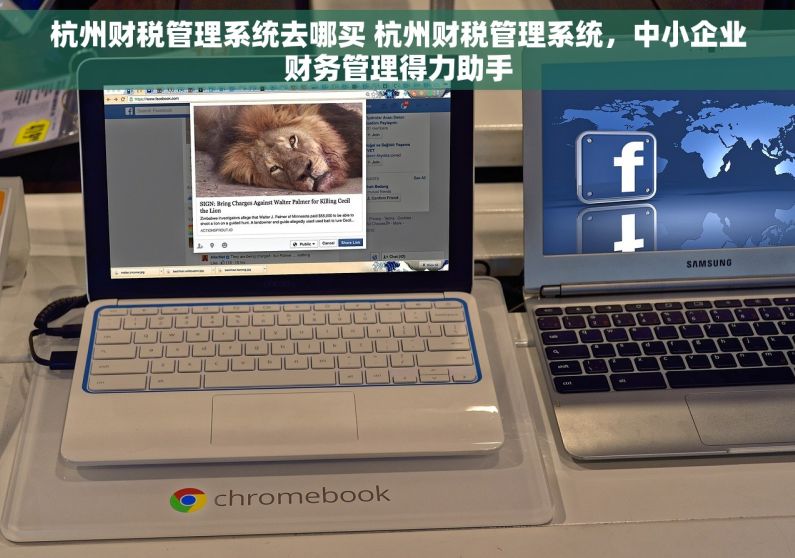 杭州财税管理系统去哪买 杭州财税管理系统，中小企业财务管理得力助手