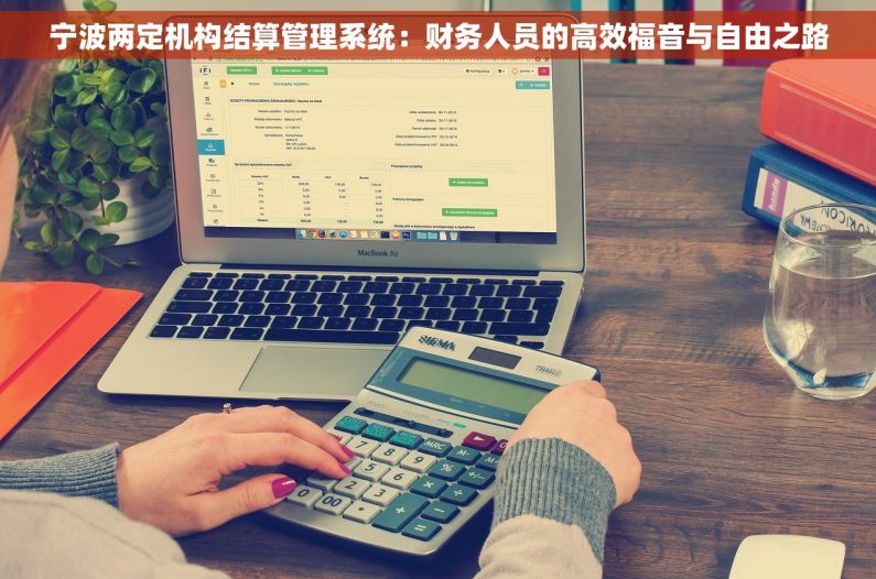 宁波两定机构结算管理系统：财务人员的高效福音与自由之路