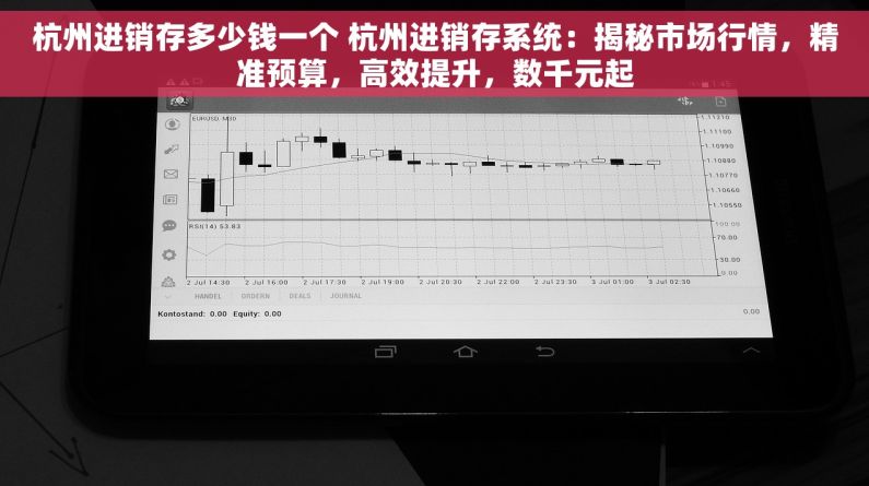 杭州进销存多少钱一个 杭州进销存系统：揭秘市场行情，精准预算，高效提升，数千元起
