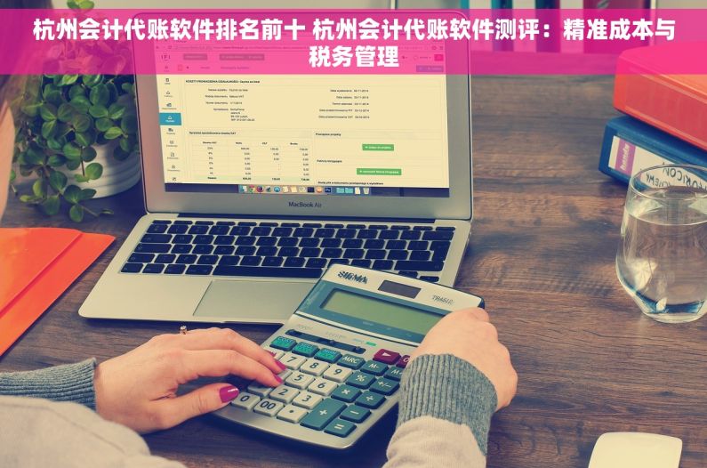 杭州会计代账软件排名前十 杭州会计代账软件测评：精准成本与税务管理