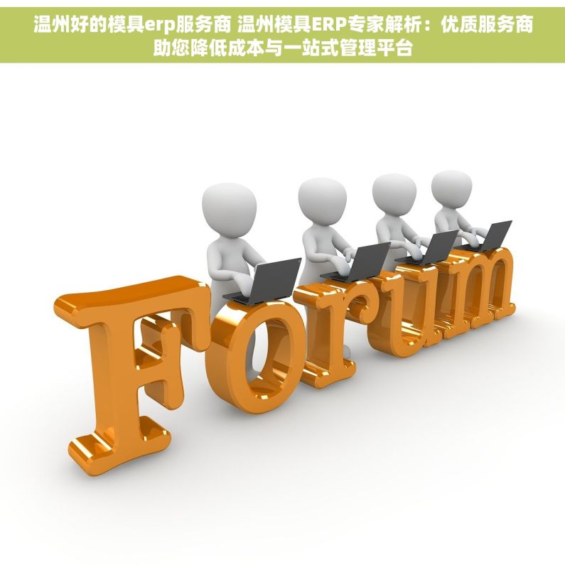 温州好的模具erp服务商 温州模具ERP专家解析：优质服务商助您降低成本与一站式管理平台