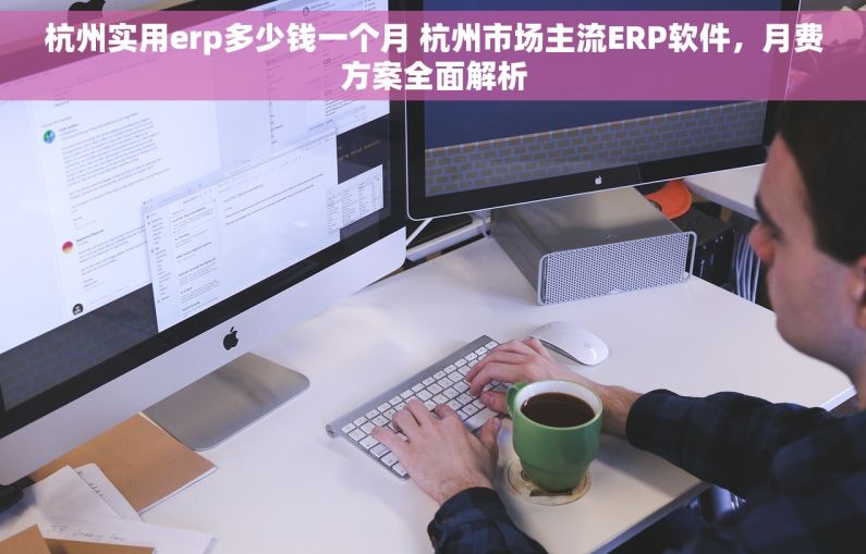 杭州实用erp多少钱一个月 杭州市场主流ERP软件，月费方案全面解析