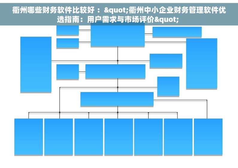 衢州哪些财务软件比较好 ："衢州中小企业财务管理软件优选指南：用户需求与市场评价" 