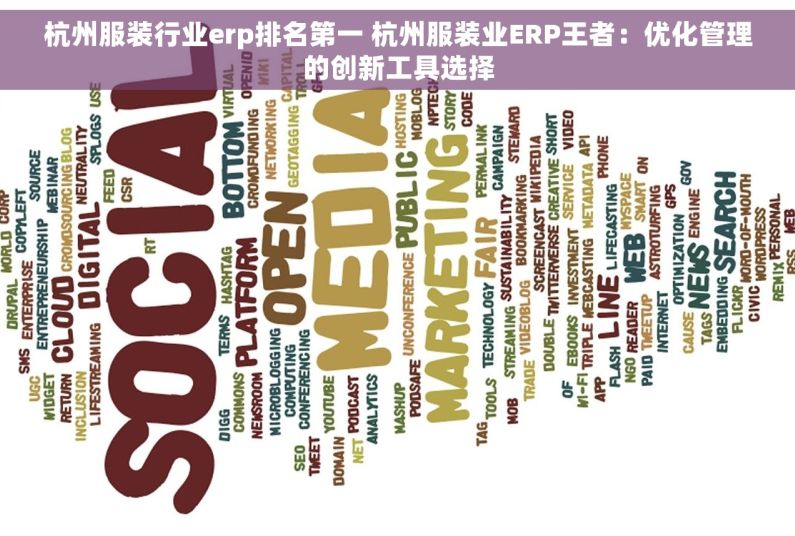 杭州服装行业erp排名第一 杭州服装业ERP王者：优化管理的创新工具选择
