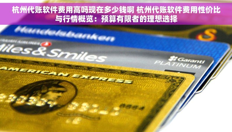 杭州代账软件费用高吗现在多少钱啊 杭州代账软件费用性价比与行情概览：预算有限者的理想选择
