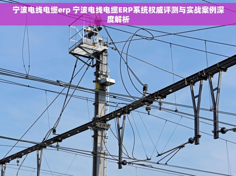 宁波电线电缆erp 宁波电线电缆ERP系统权威评测与实战案例深度解析