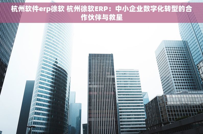 杭州软件erp徐软 杭州徐软ERP：中小企业数字化转型的合作伙伴与救星