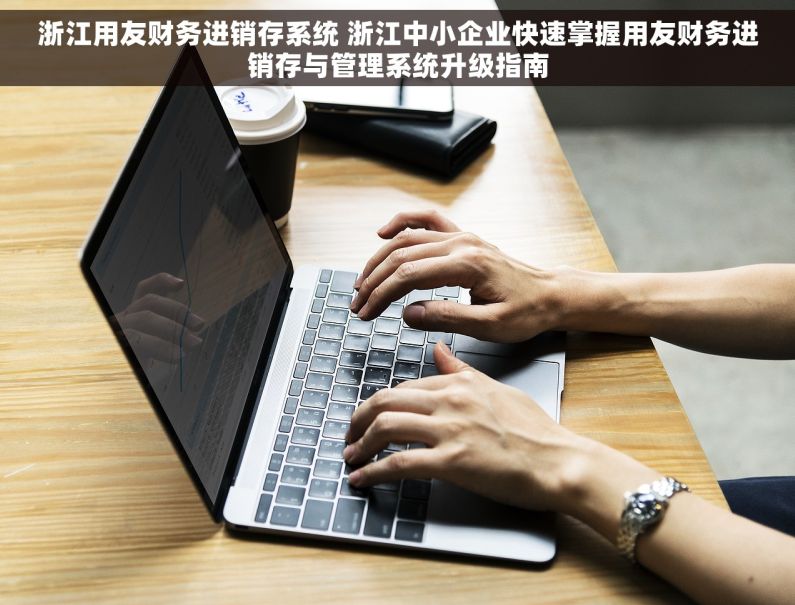 浙江用友财务进销存系统 浙江中小企业快速掌握用友财务进销存与管理系统升级指南