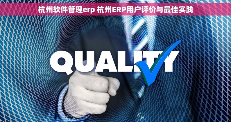 杭州软件管理erp 杭州ERP用户评价与最佳实践