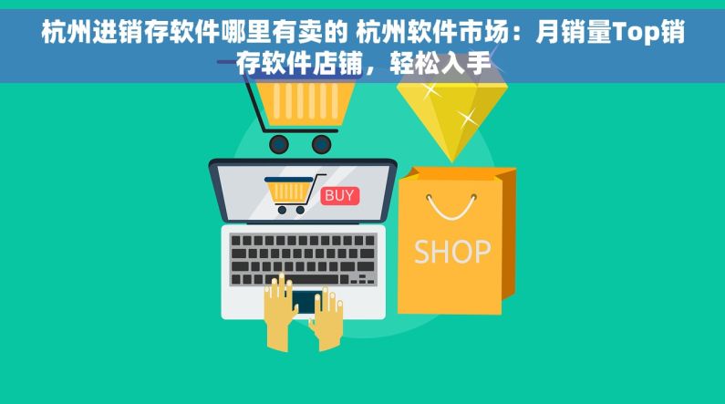 杭州进销存软件哪里有卖的 杭州软件市场：月销量Top销存软件店铺，轻松入手