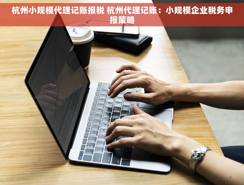 杭州小规模代理记账报税 杭州代理记账：小规模企业税务申报策略