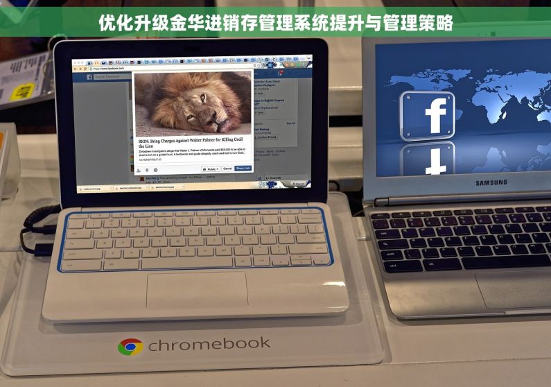 优化升级金华进销存管理系统提升与管理策略