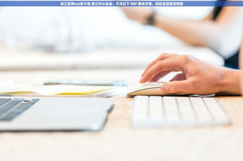 浙江实用erp多少钱 浙江中小企业：万元以下 ERP 解决方案，轻松实现高效管理