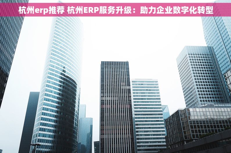 杭州erp推荐 杭州ERP服务升级：助力企业数字化转型