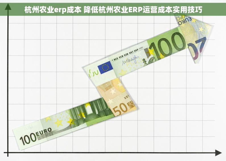 杭州农业erp成本 降低杭州农业ERP运营成本实用技巧
