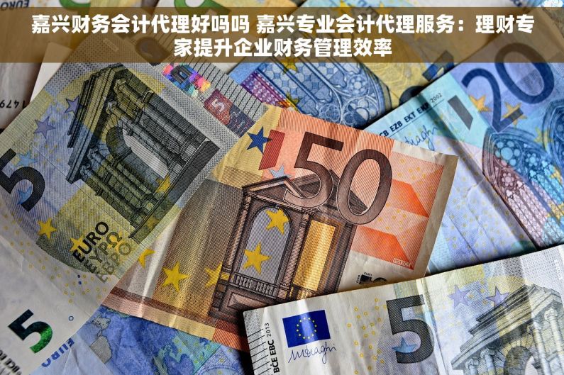 嘉兴财务会计代理好吗吗 嘉兴专业会计代理服务：理财专家提升企业财务管理效率