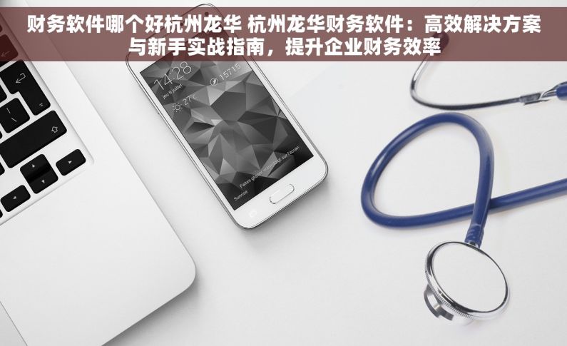 财务软件哪个好杭州龙华 杭州龙华财务软件：高效解决方案与新手实战指南，提升企业财务效率
