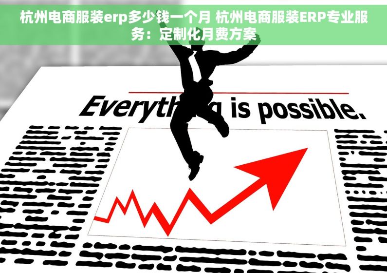 杭州电商服装erp多少钱一个月 杭州电商服装ERP专业服务：定制化月费方案