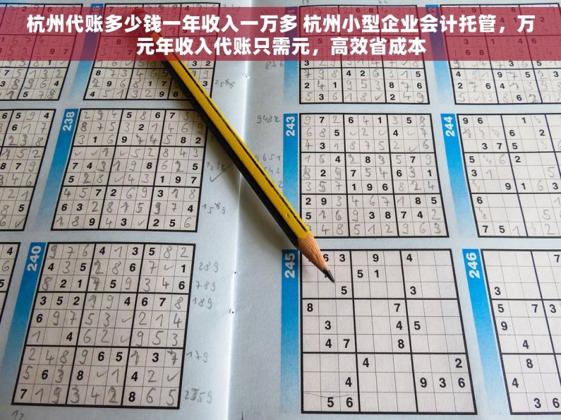 杭州代账多少钱一年收入一万多 杭州小型企业会计托管，万元年收入代账只需元，高效省成本