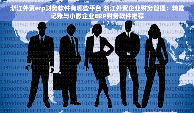 浙江外贸erp财务软件有哪些平台 浙江外贸企业财务管理：精准记账与小微企业ERP财务软件推荐