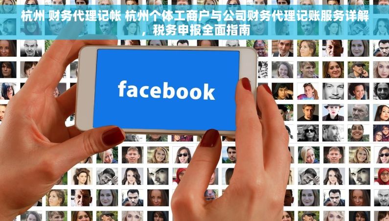 杭州 财务代理记帐 杭州个体工商户与公司财务代理记账服务详解，税务申报全面指南