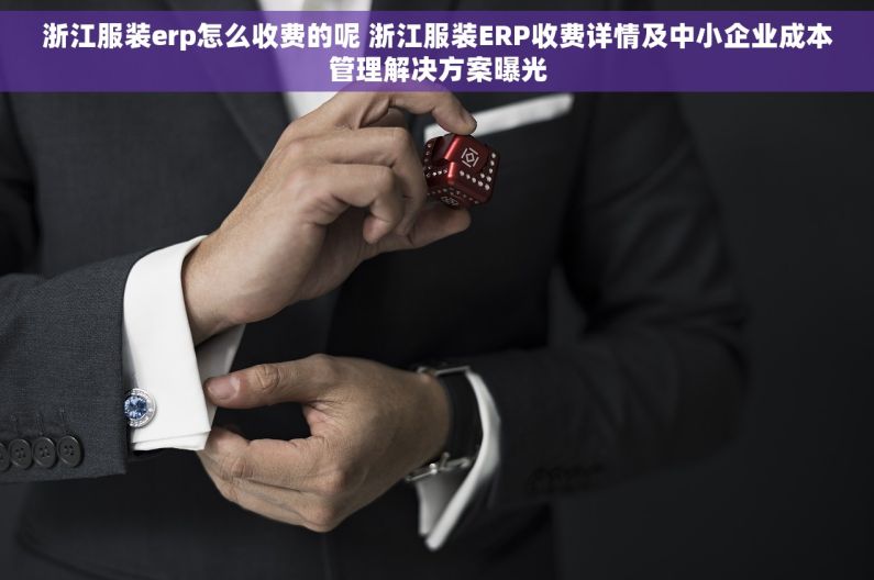 浙江服装erp怎么收费的呢 浙江服装ERP收费详情及中小企业成本管理解决方案曝光