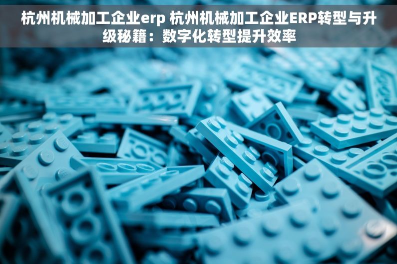 杭州机械加工企业erp 杭州机械加工企业ERP转型与升级秘籍：数字化转型提升效率