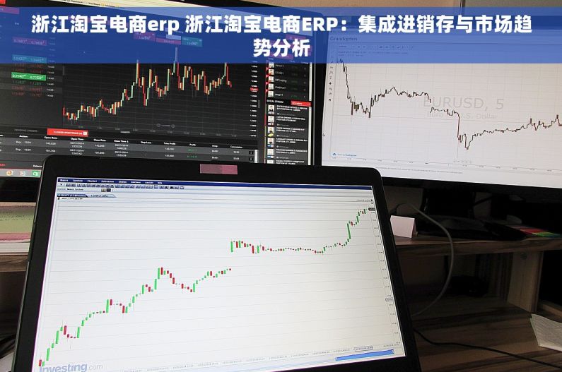 浙江淘宝电商erp 浙江淘宝电商ERP：集成进销存与市场趋势分析