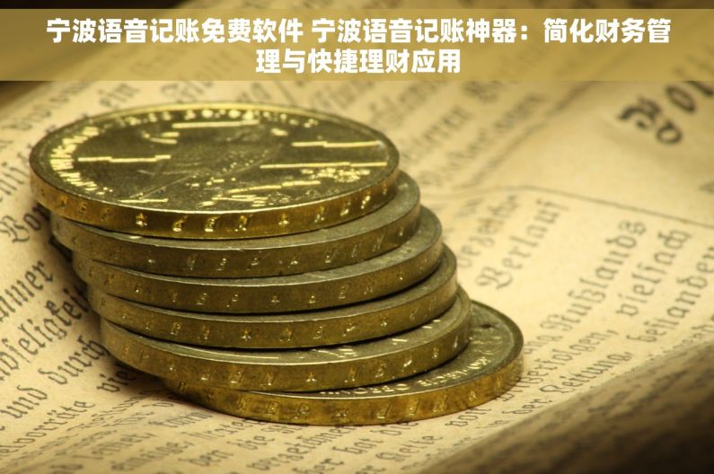 宁波语音记账免费软件 宁波语音记账神器：简化财务管理与快捷理财应用