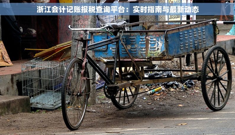 浙江会计记账报税查询平台：实时指南与最新动态