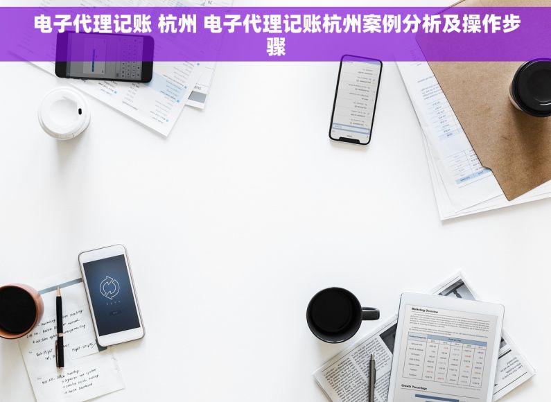 电子代理记账 杭州 电子代理记账杭州案例分析及操作步骤