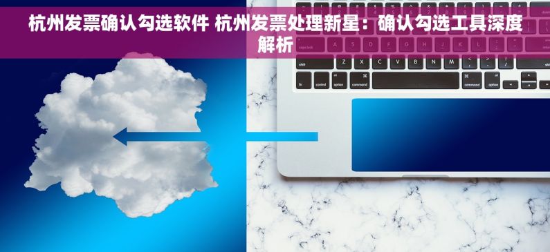 杭州发票确认勾选软件 杭州发票处理新星：确认勾选工具深度解析