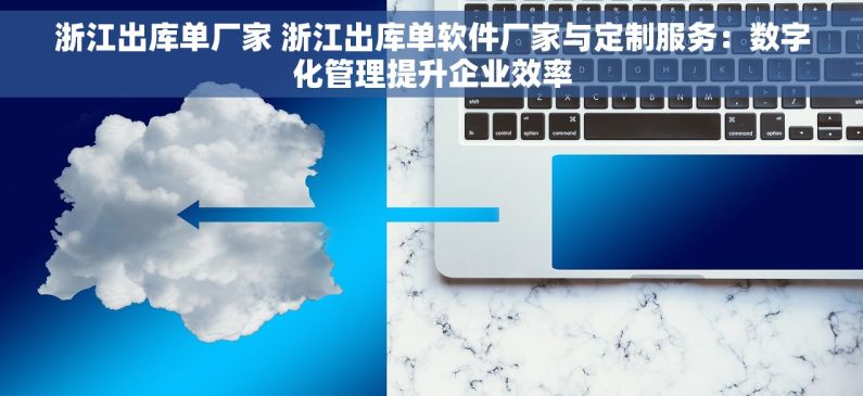 浙江出库单厂家 浙江出库单软件厂家与定制服务：数字化管理提升企业效率