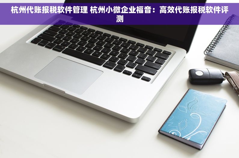 杭州代账报税软件管理 杭州小微企业福音：高效代账报税软件评测