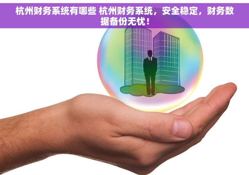 杭州财务系统有哪些 杭州财务系统，安全稳定，财务数据备份无忧！