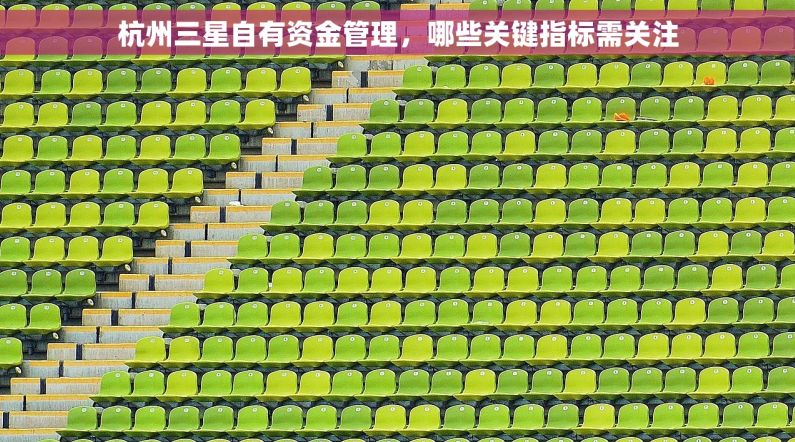 杭州三星自有资金管理，哪些关键指标需关注