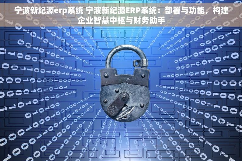 宁波新纪源erp系统 宁波新纪源ERP系统：部署与功能，构建企业智慧中枢与财务助手