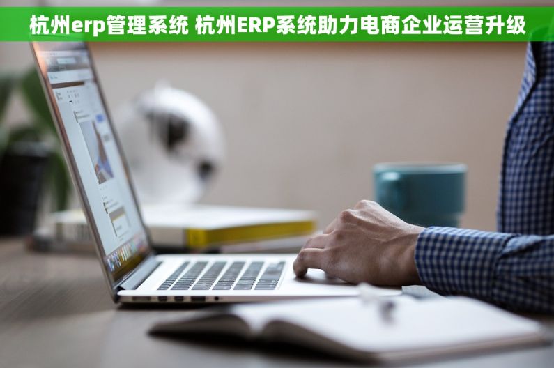 杭州erp管理系统 杭州ERP系统助力电商企业运营升级